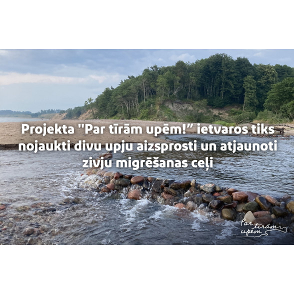 Atbalstot Zemes stundas aicinājumu, projekta “Par tīrām upēm!” ietvaros tiks  nojaukti divu upju aizsprosti un atjaunoti zivju migrēšanas ceļi_copy